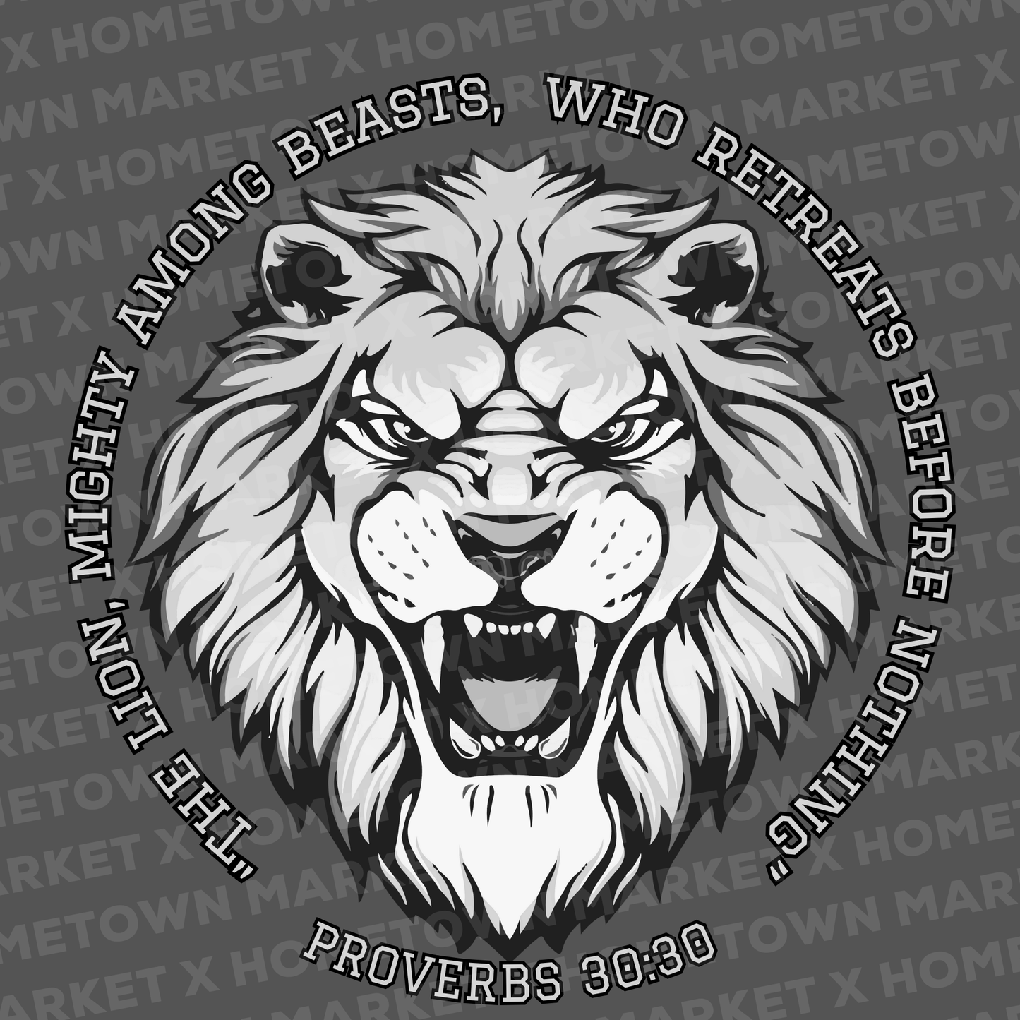 "LIONS Proverbs 30:30" T-Shirt - Size 4XL