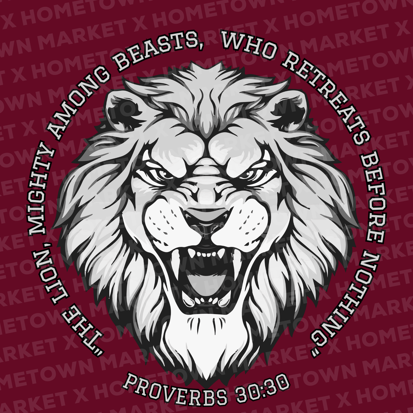 "LIONS Proverbs 30:30" TShirt - YOUTH Medium