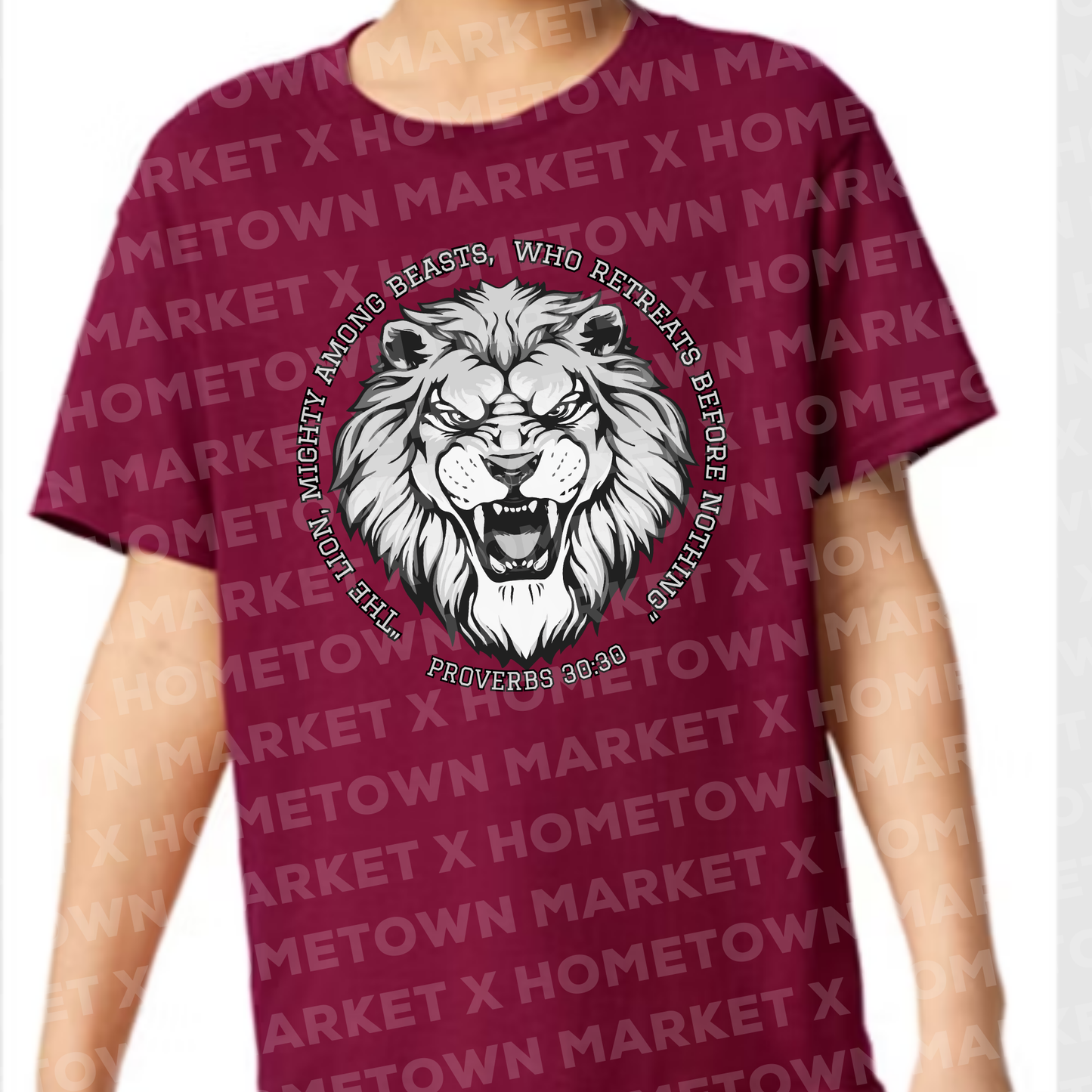 "LIONS Proverbs 30:30" TShirt - YOUTH Medium